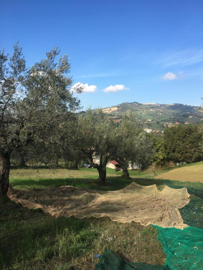 B&B La Casa Di Giuliana Cermignano Buitenkant foto