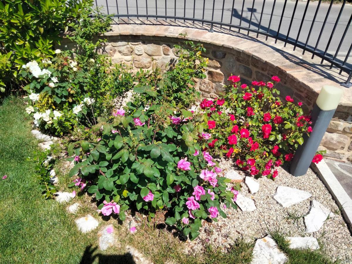 B&B La Casa Di Giuliana Cermignano Buitenkant foto